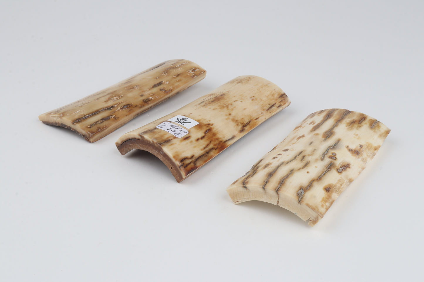 Natural mammoth bark pieces