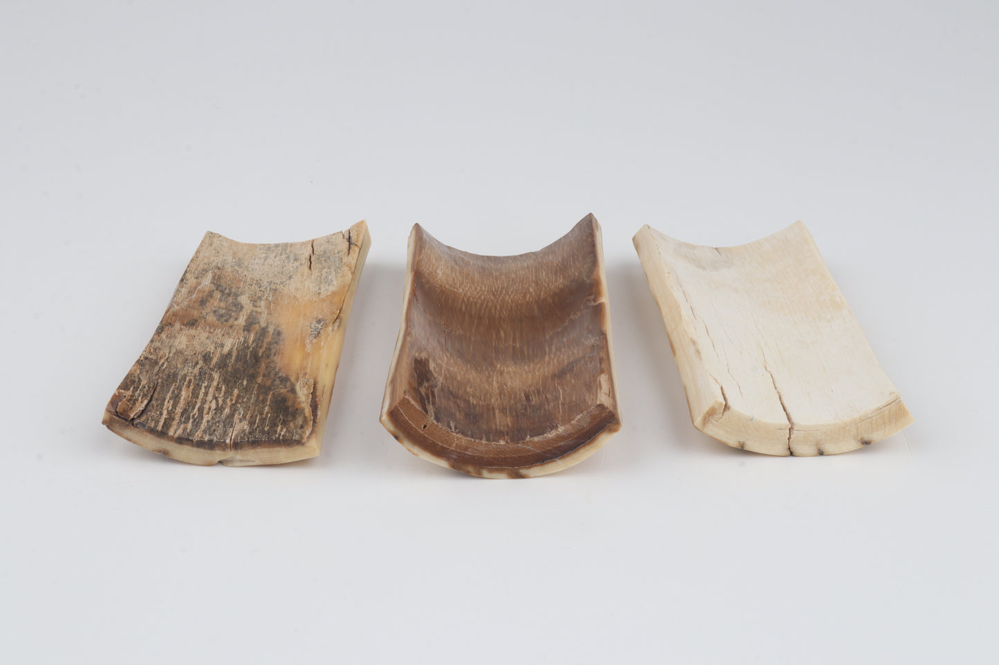 Natural mammoth bark pieces