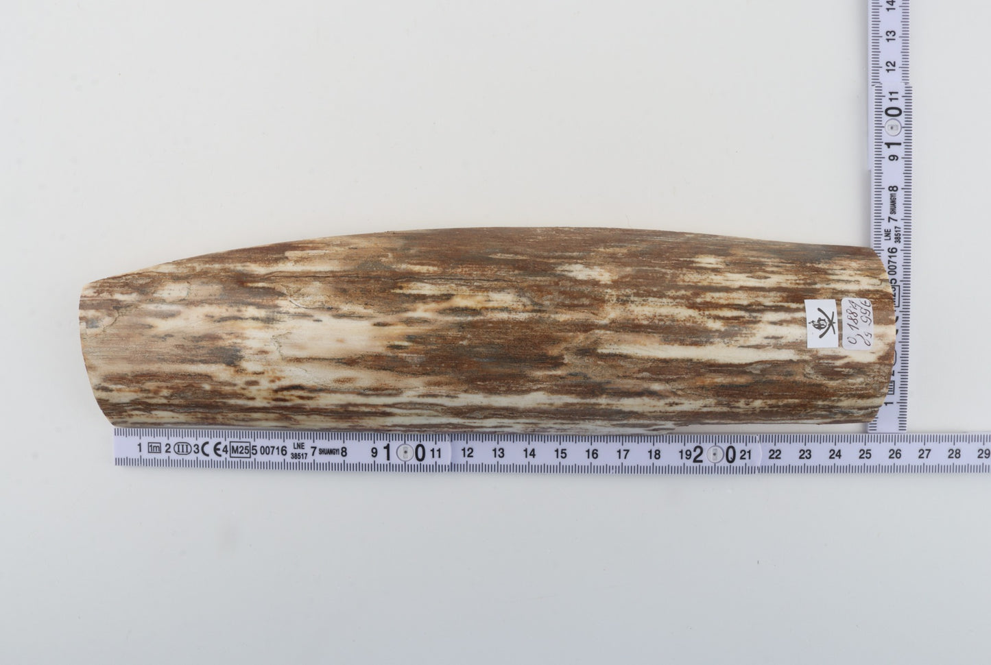 Beige-white mammoth bark