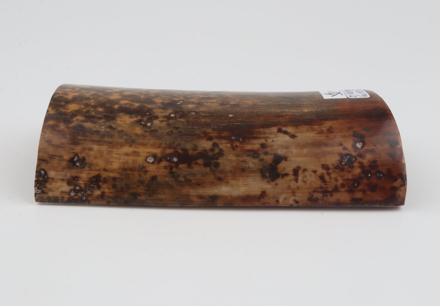 Brown-mustard mammoth bark