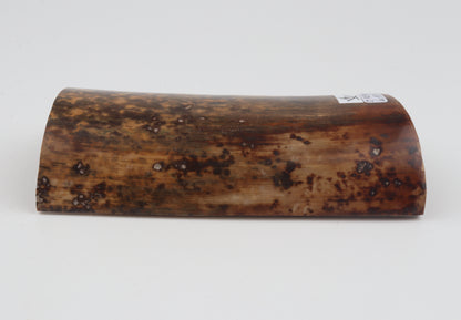 Brown-mustard mammoth bark