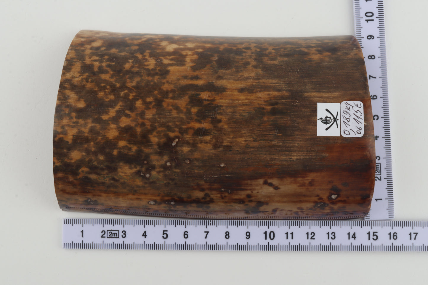 Brown-mustard mammoth bark