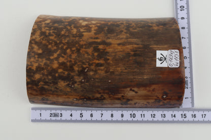 Brown-mustard mammoth bark