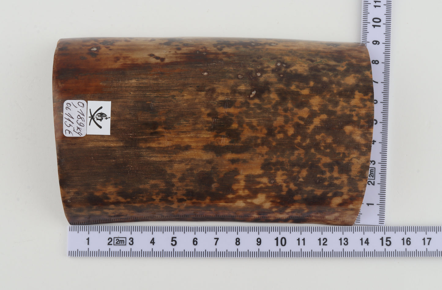 Brown-mustard mammoth bark