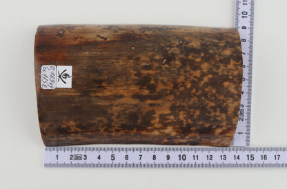Brown-mustard mammoth bark