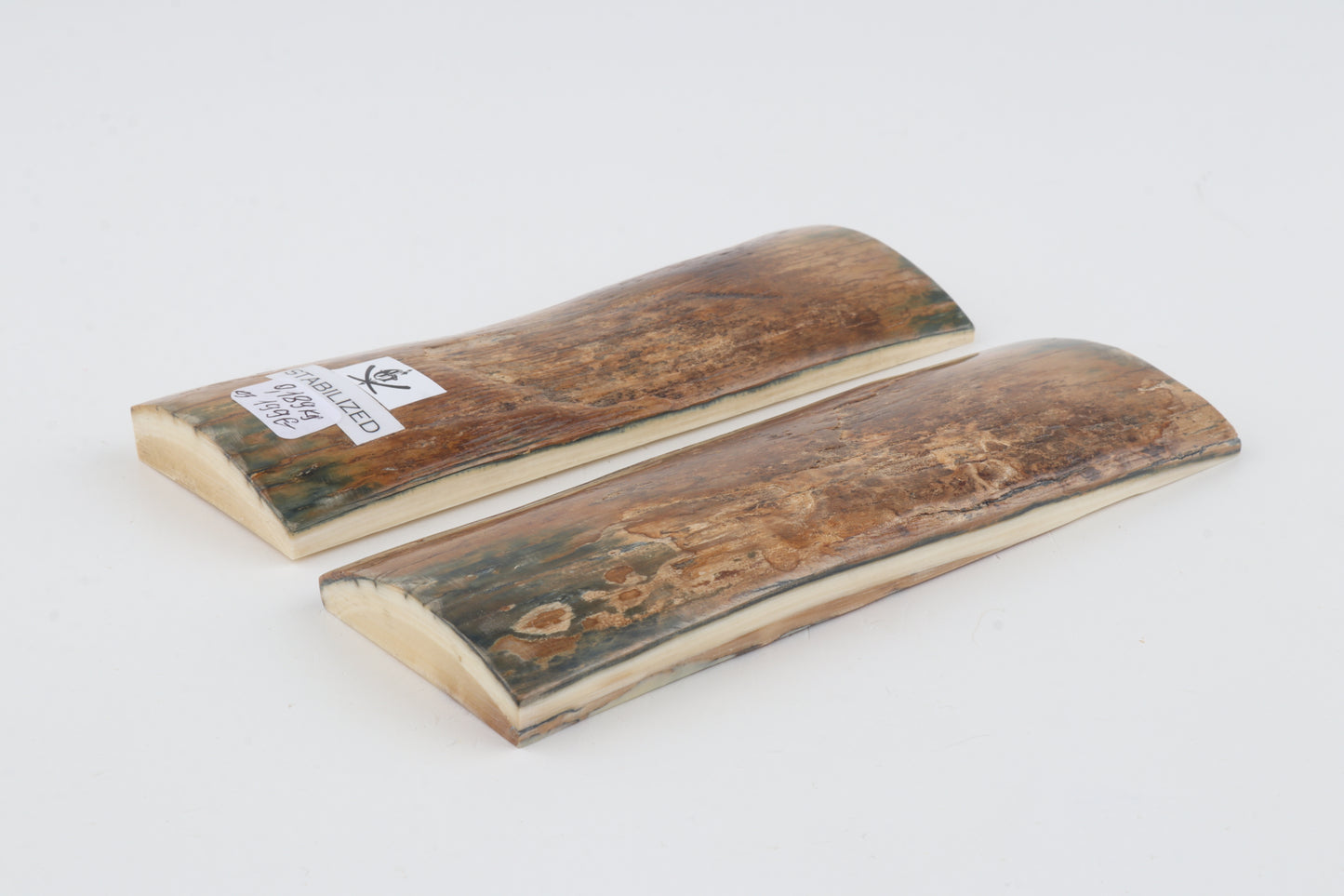 Stabilized mammoth bark scales