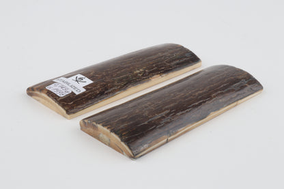 Stabilised mammoth bark scales