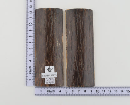 Stabilised mammoth bark scales