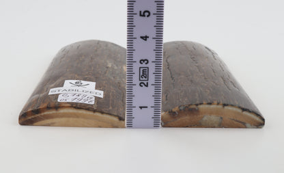 Stabilised mammoth bark scales