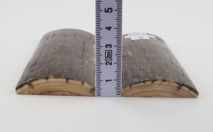 Stabilised mammoth bark scales