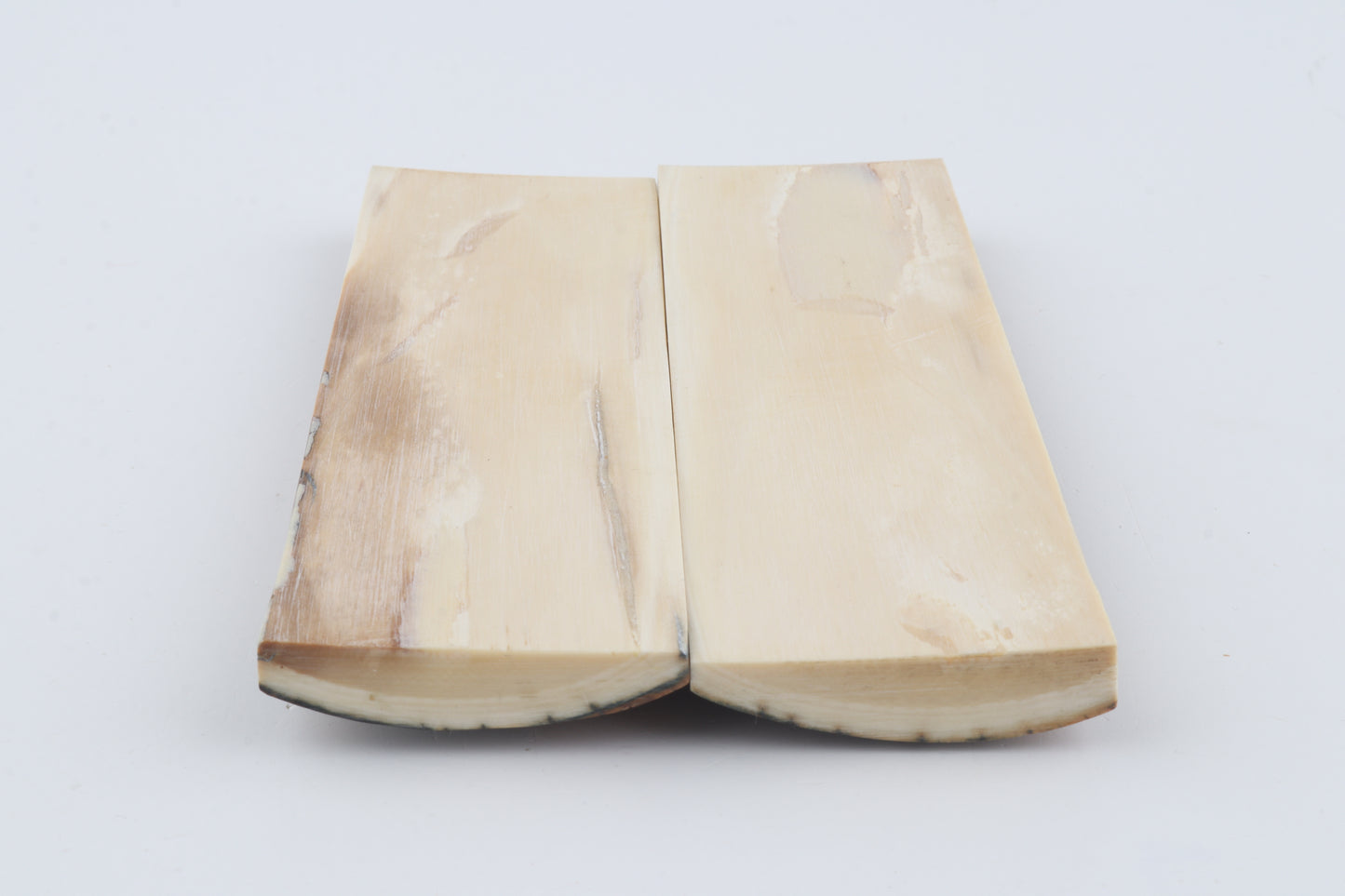 Stabilized mammoth bark scales
