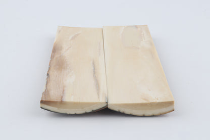 Stabilized mammoth bark scales