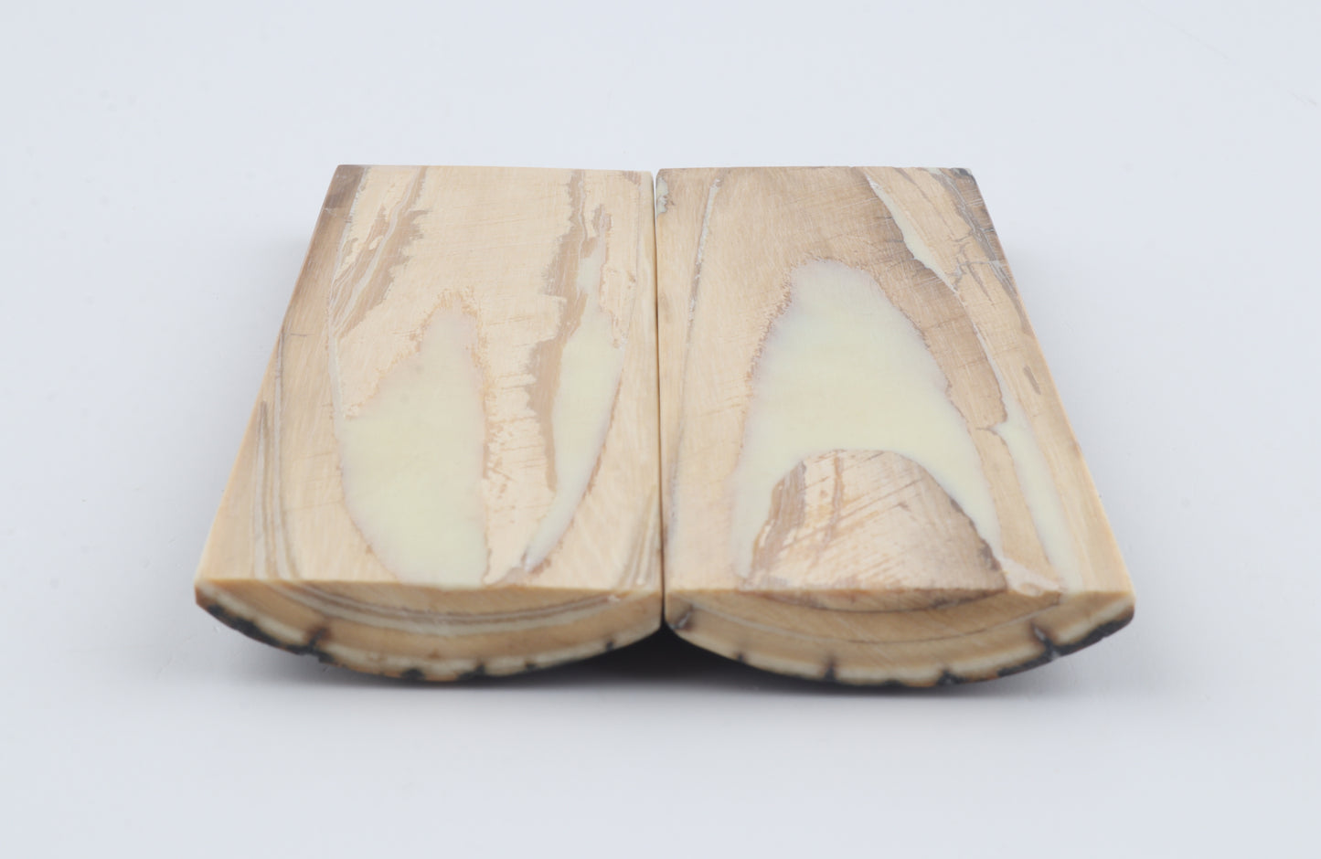Stabilised mammoth bark scales