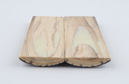 Stabilised mammoth bark scales