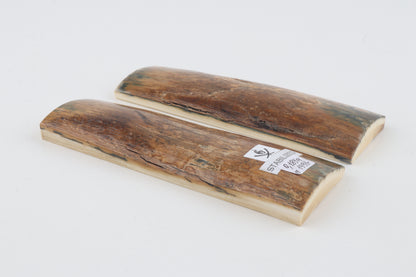 Stabilized mammoth bark scales