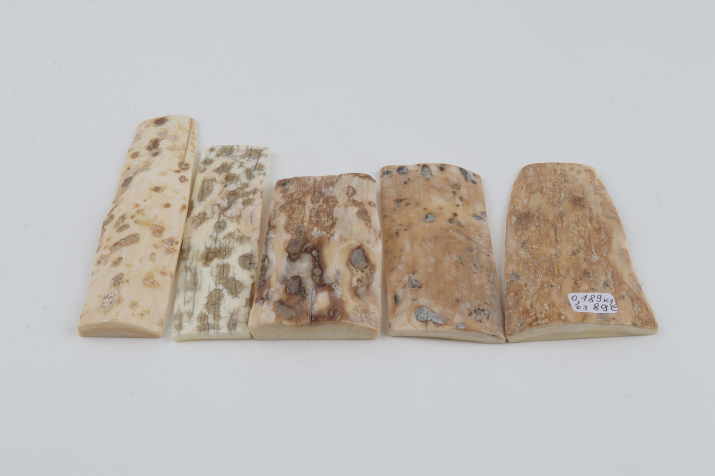 Natural mammoth bark pieces