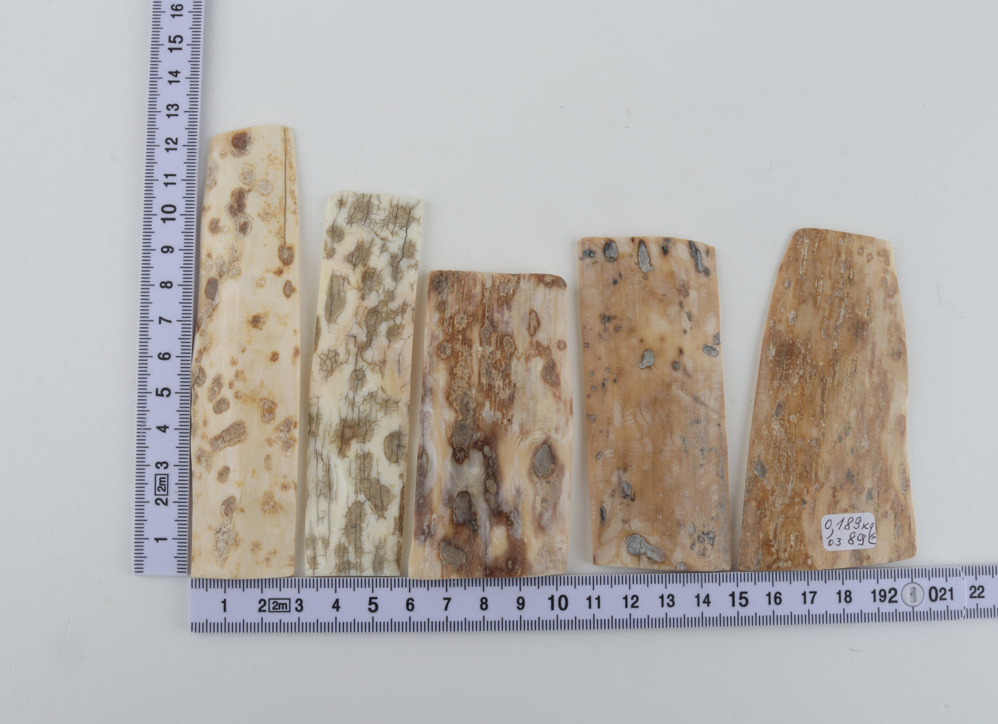 Natural mammoth bark pieces