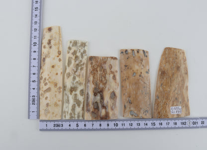 Natural mammoth bark pieces