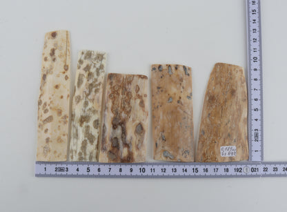 Natural mammoth bark pieces