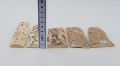 Natural mammoth bark pieces