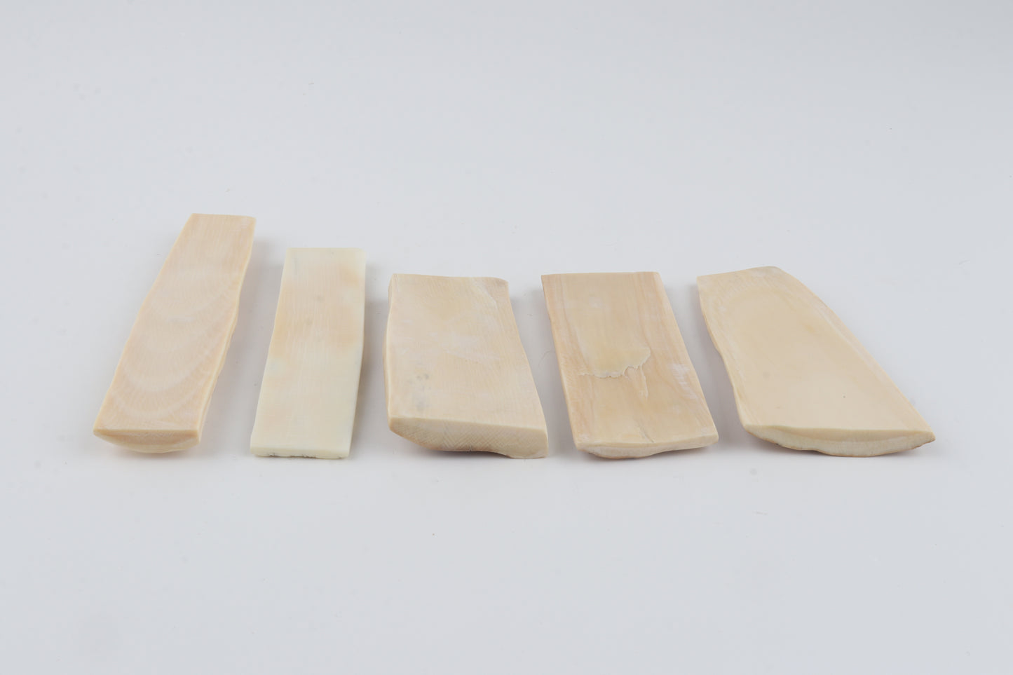 Natural mammoth bark pieces