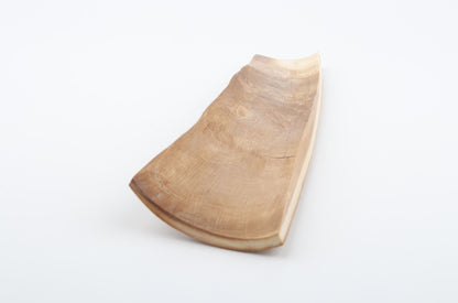 Beige mammoth bark