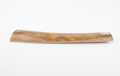 Beige mammoth bark