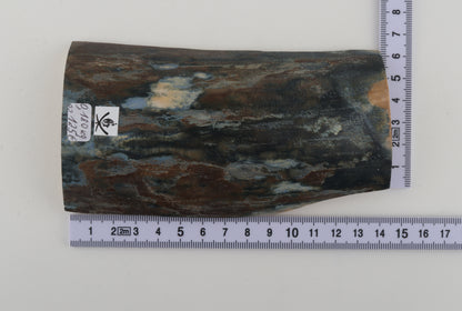 Blue-brown mammoth bark