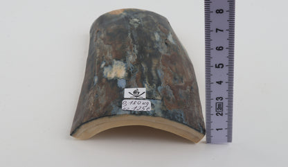 Blue-brown mammoth bark