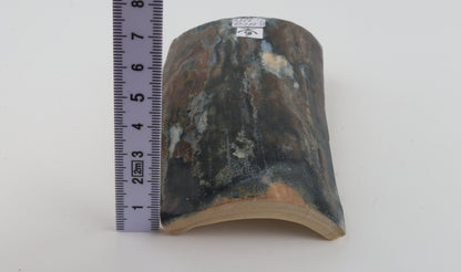Blue-brown mammoth bark