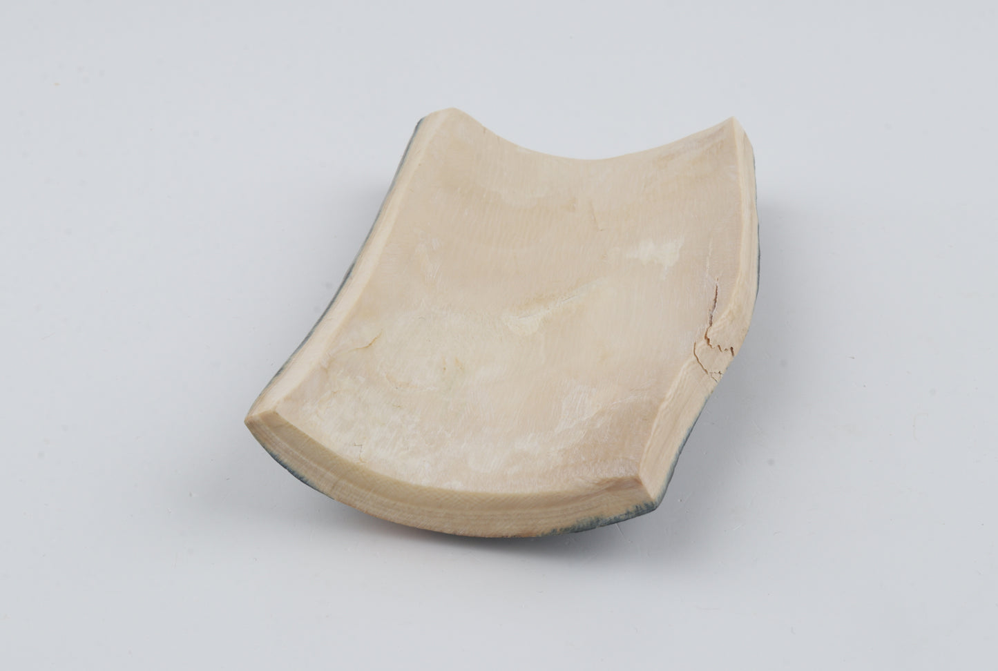 Blue-brown mammoth bark