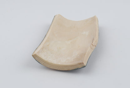 Blue-brown mammoth bark