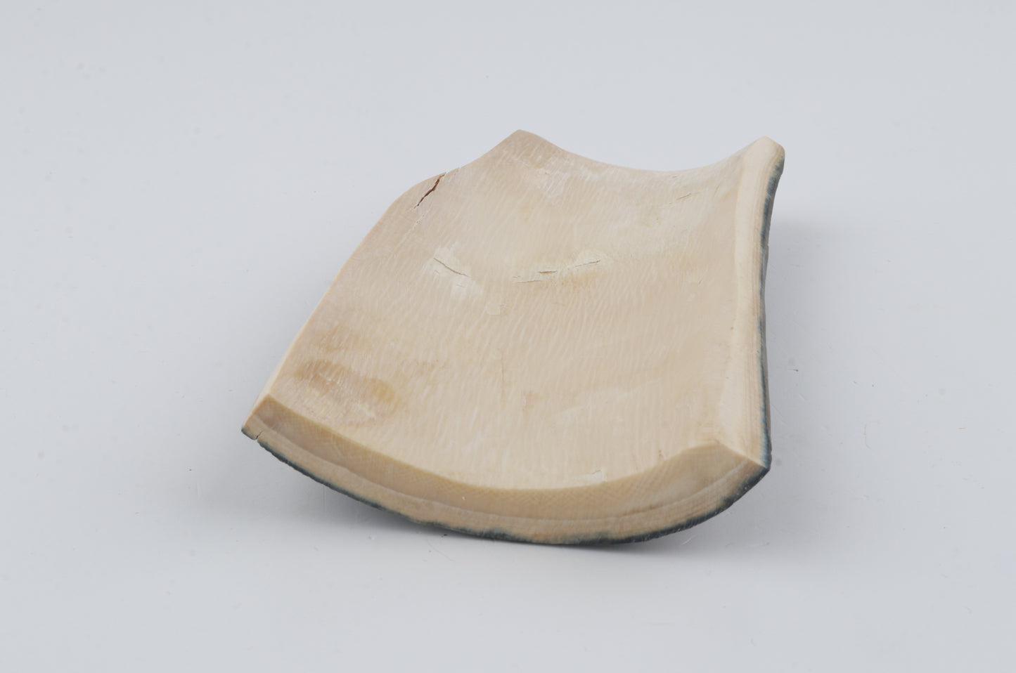 Blue-brown mammoth bark