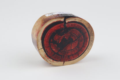 Stabilized mammoth ivory block