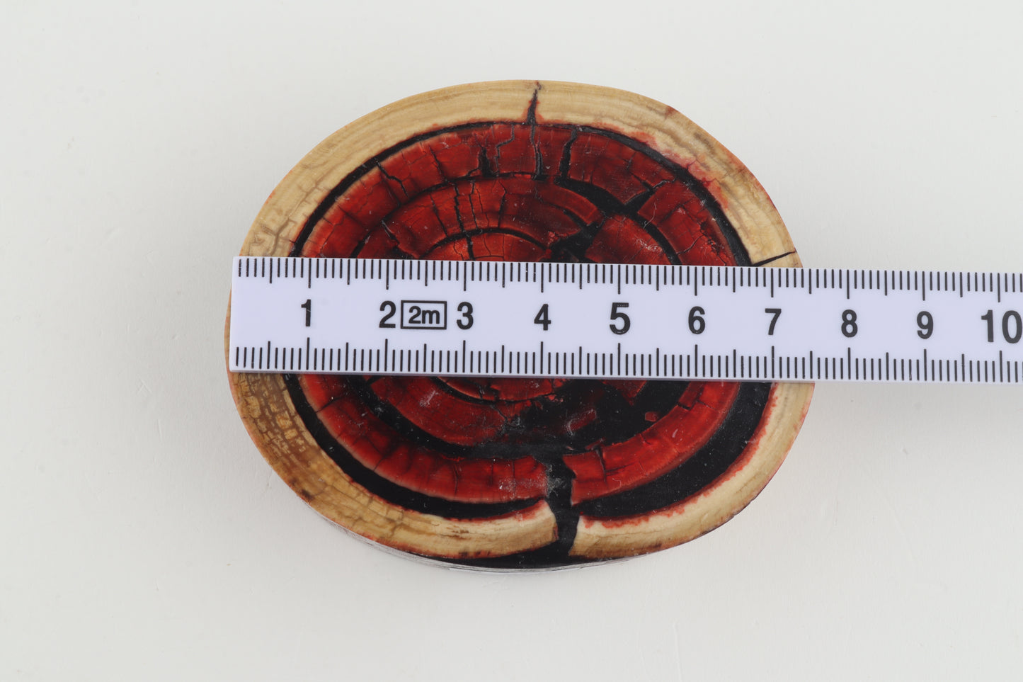 Stabilized mammoth ivory block