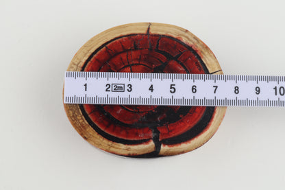 Stabilized mammoth ivory block