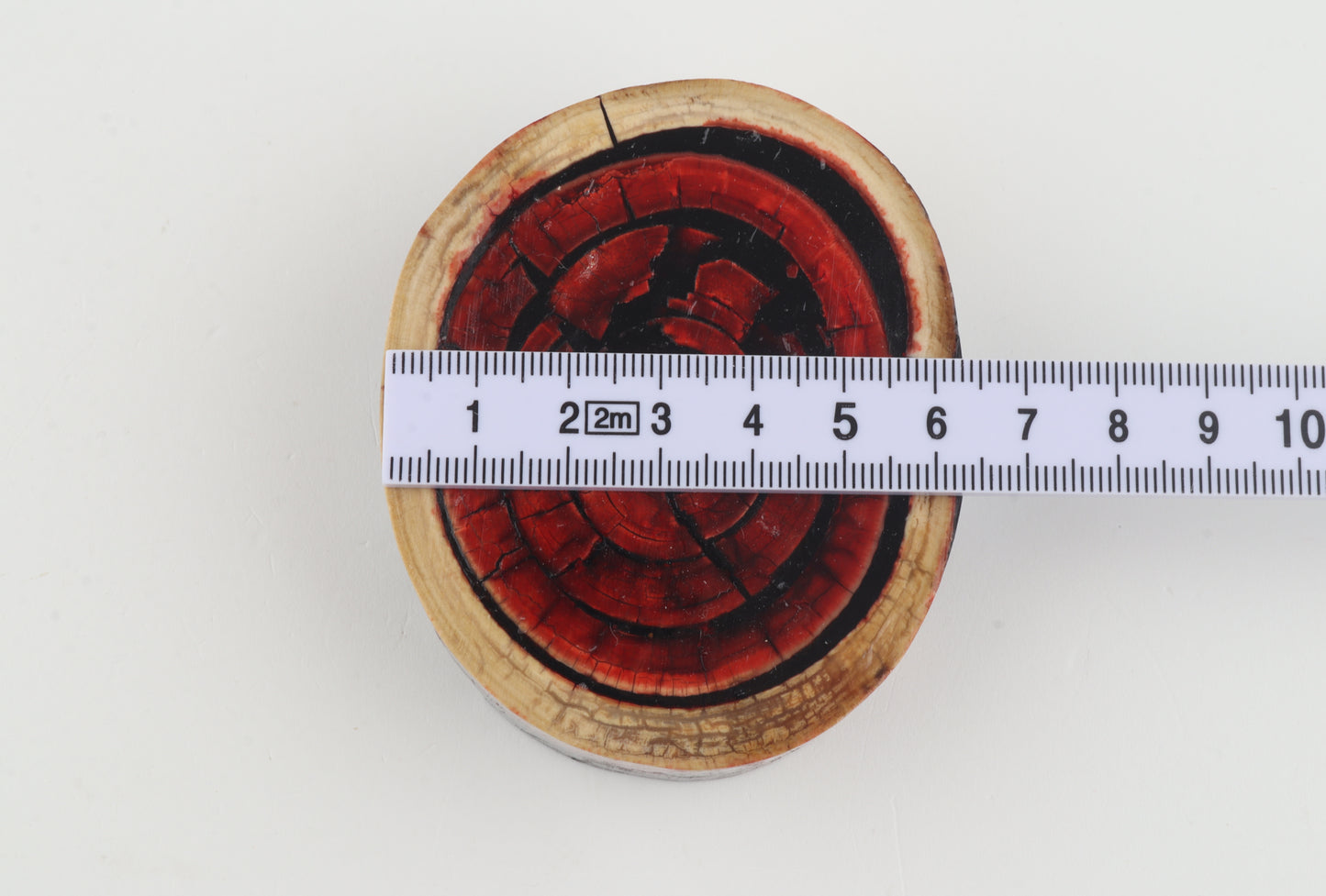 Stabilized mammoth ivory block