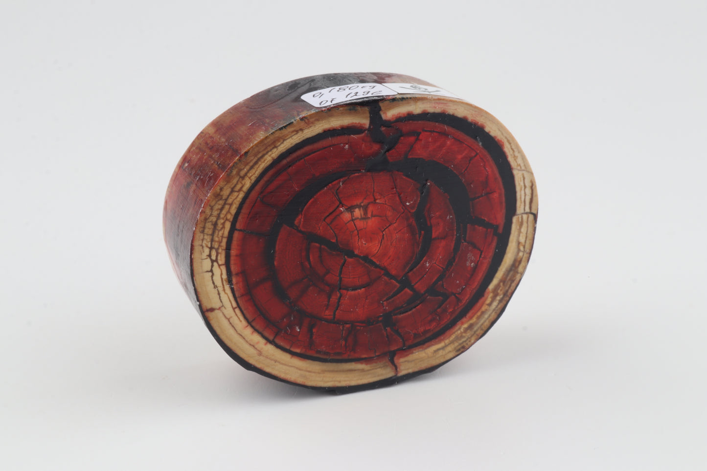 Stabilized mammoth ivory block