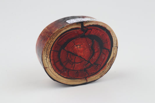 Stabilized mammoth ivory block