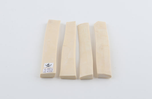 White mammoth ivory segments
