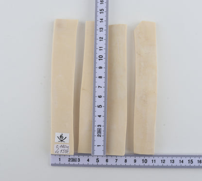 White mammoth ivory segments
