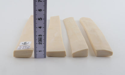 White mammoth ivory segments