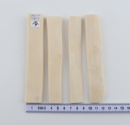 White mammoth ivory segments