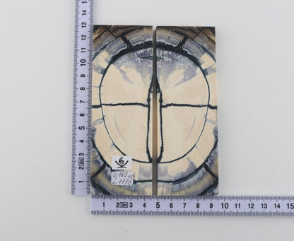 Stabilized mammoth ivory scales