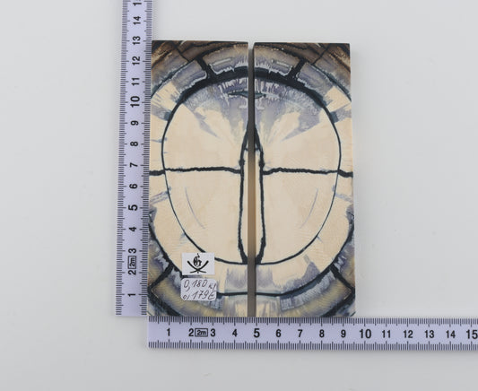 Stabilized mammoth ivory scales