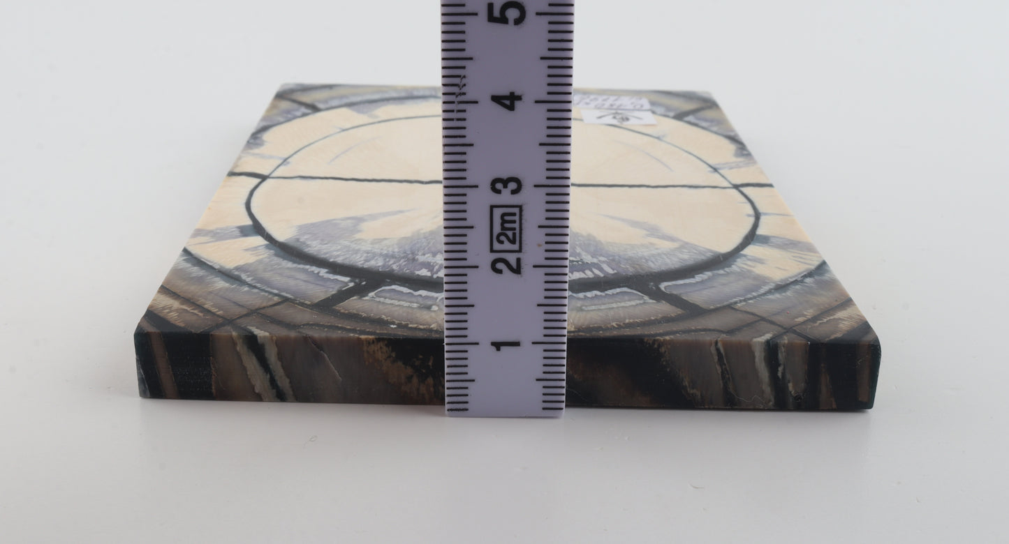 Stabilized mammoth ivory scales