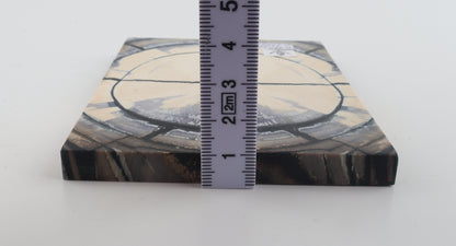 Stabilized mammoth ivory scales