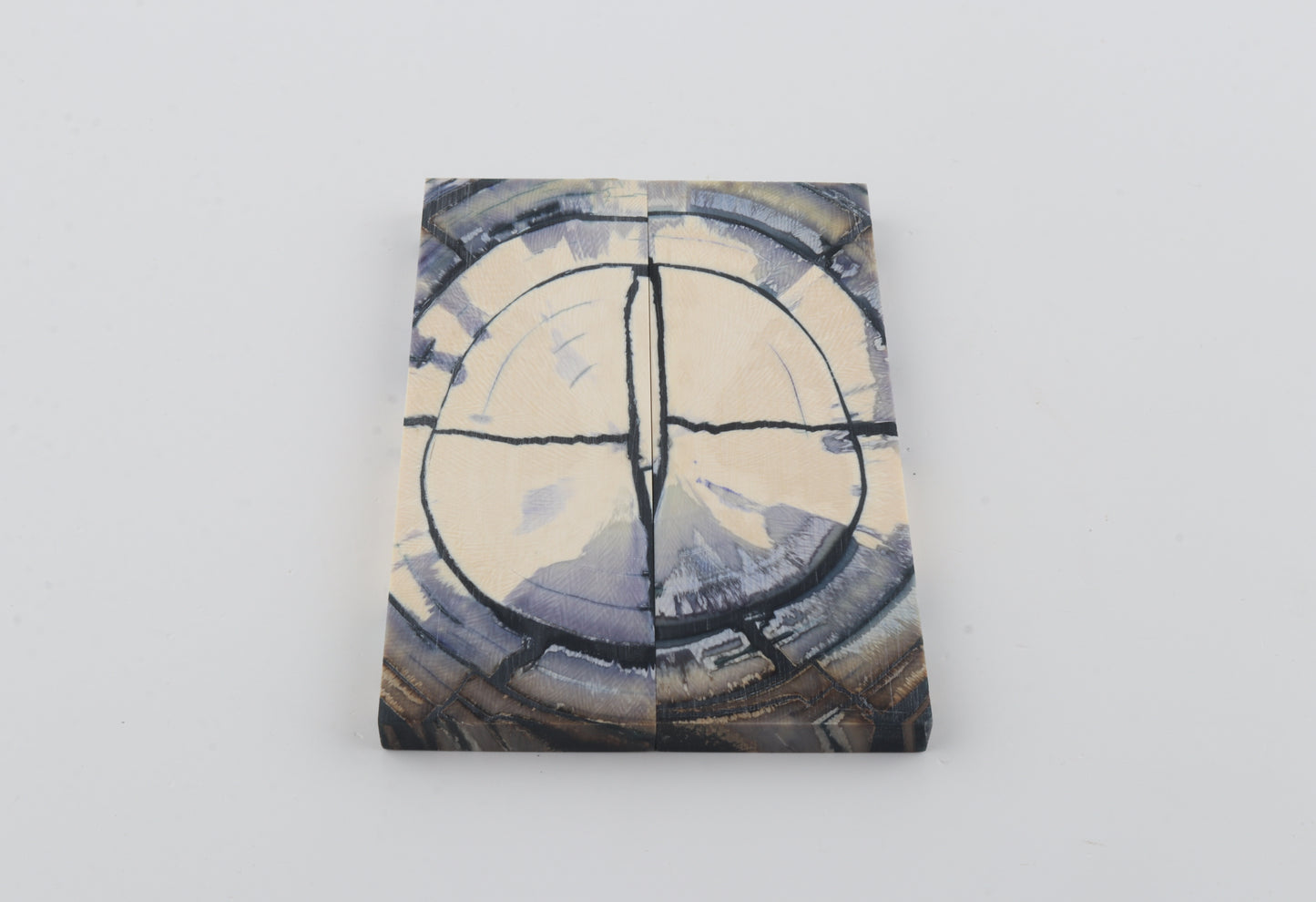 Stabilized mammoth ivory scales