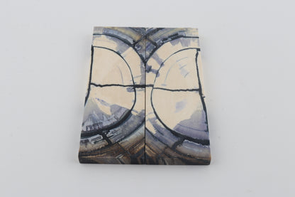 Stabilized mammoth ivory scales