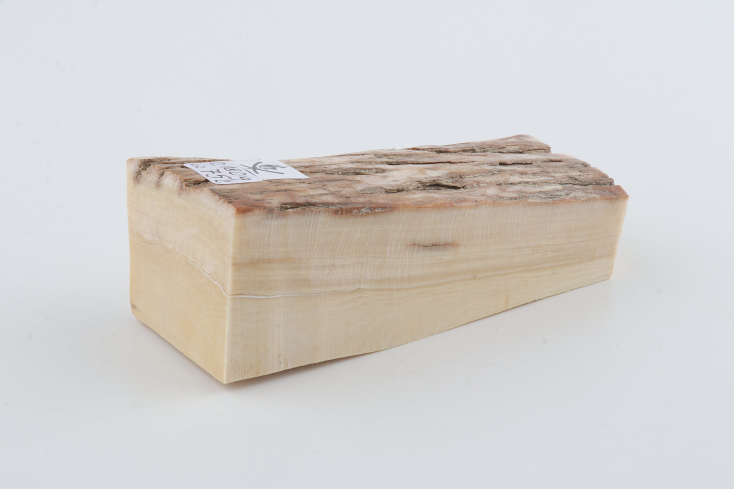 Natural mammoth ivory piece